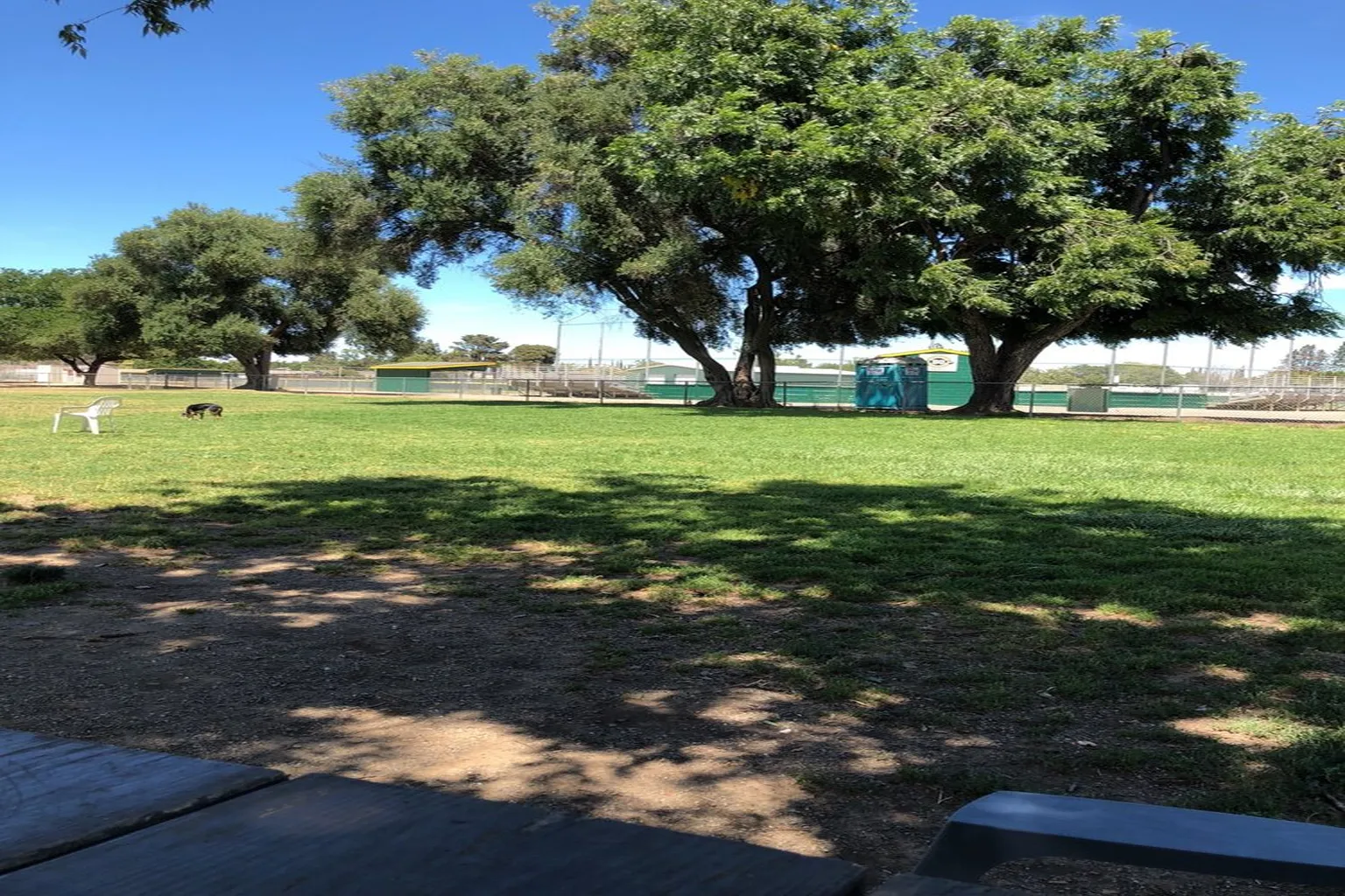 Max Baer Dog Park in Livermore, California