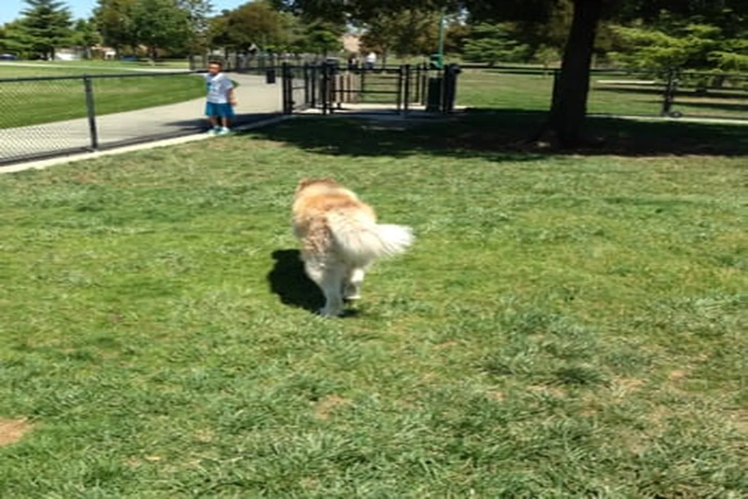 Marlin A. Pound Dog Park (At North Livermore Park) in Livermore, California - Main Image