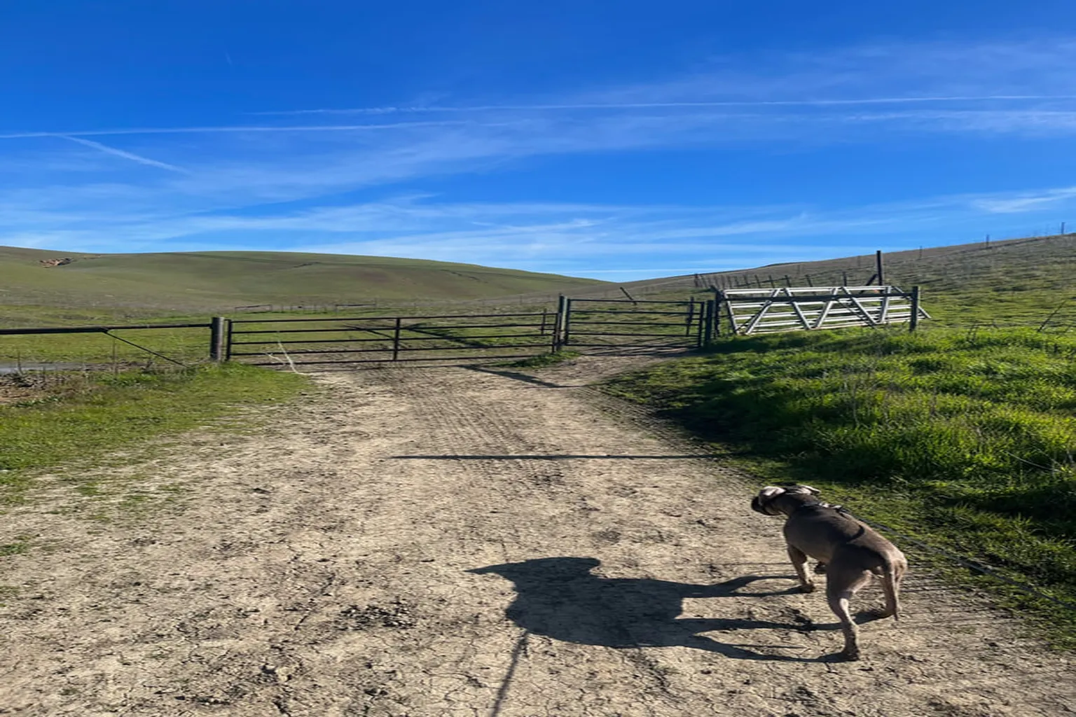 Brushy Peak Regional Park in Livermore, California