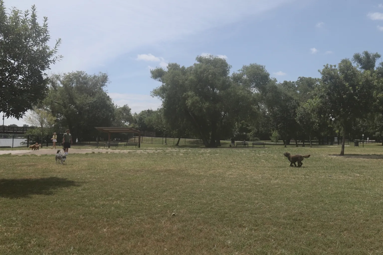 Dog Haven At Overlook Park in White Rock, New Mexico