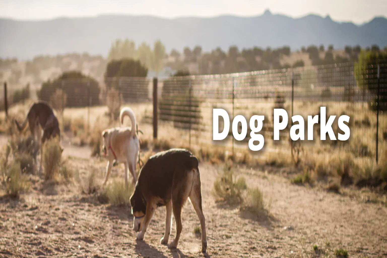Santa Fe Animal Shelter Dog Park in Santa Fe, New Mexico - Main Image