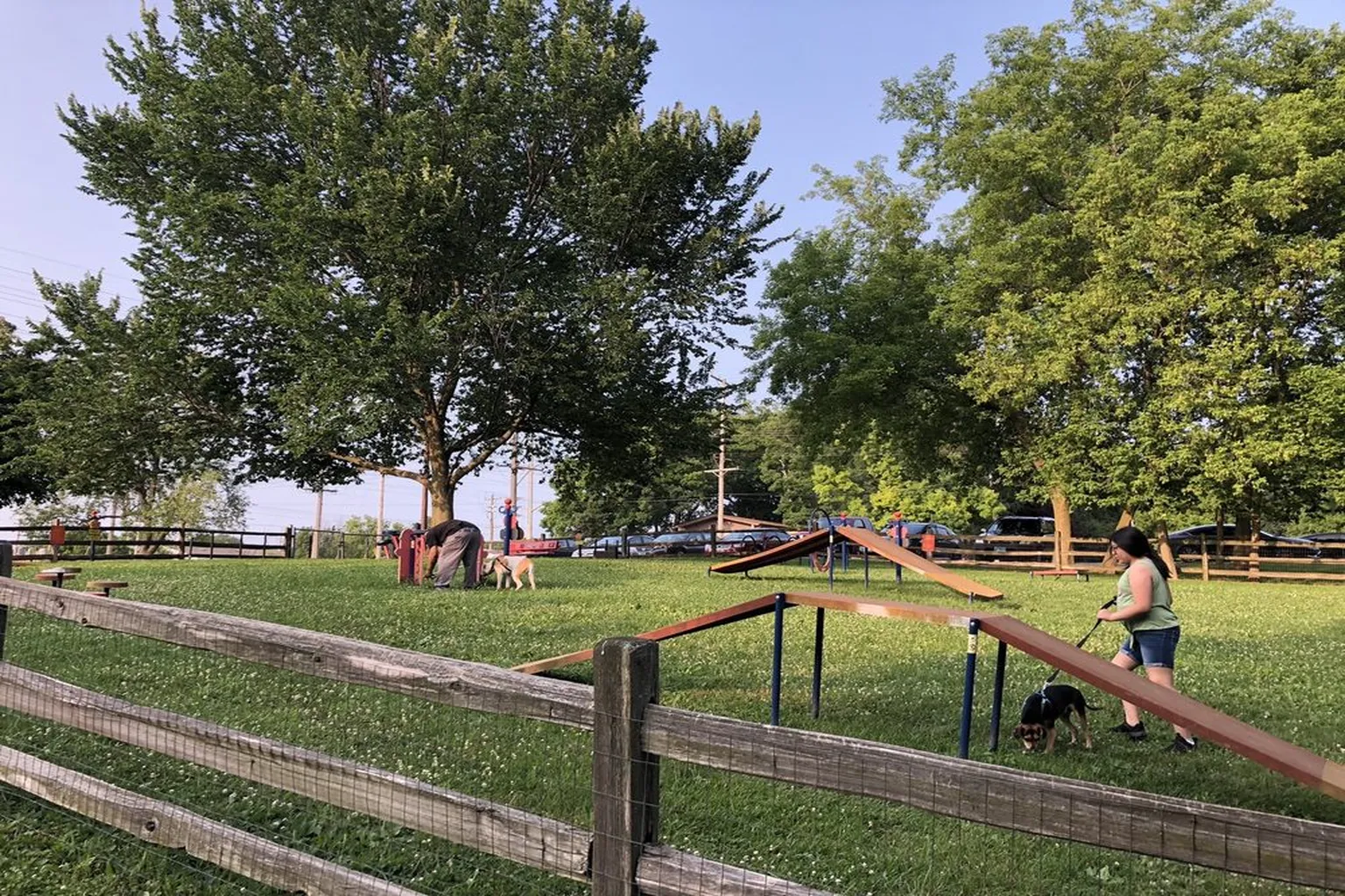 Callahan-Franklin Dog Park (At Larsen Nature Preserve) in Waukegan, Illinois