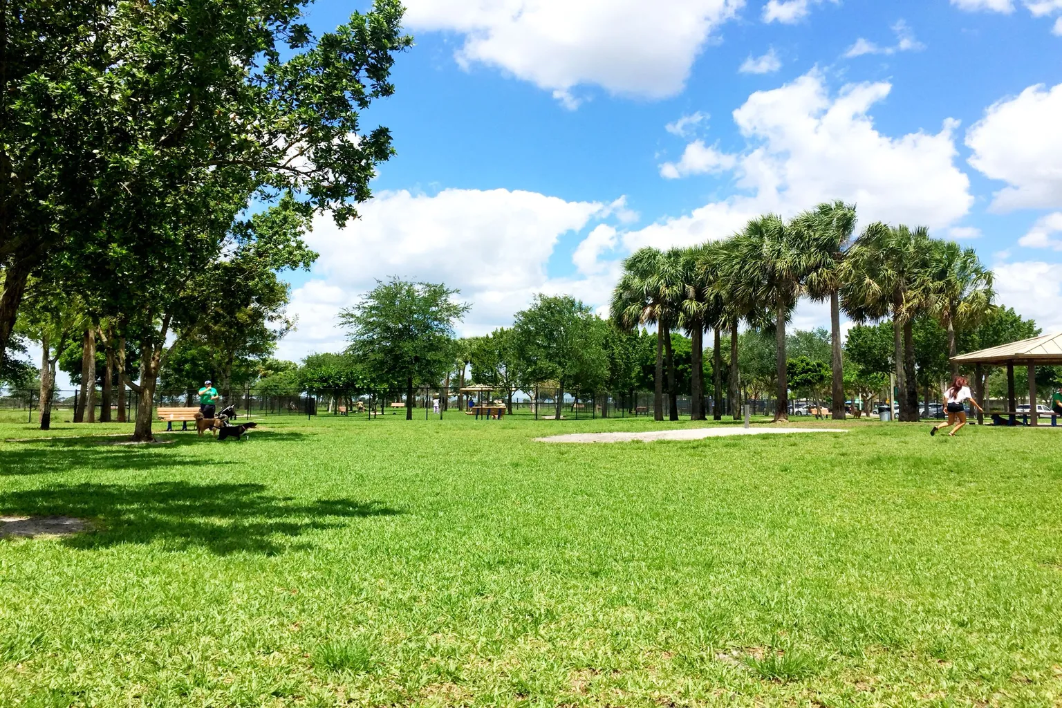 Canine Cove (At South County Regional Park) in Boca Raton, Florida