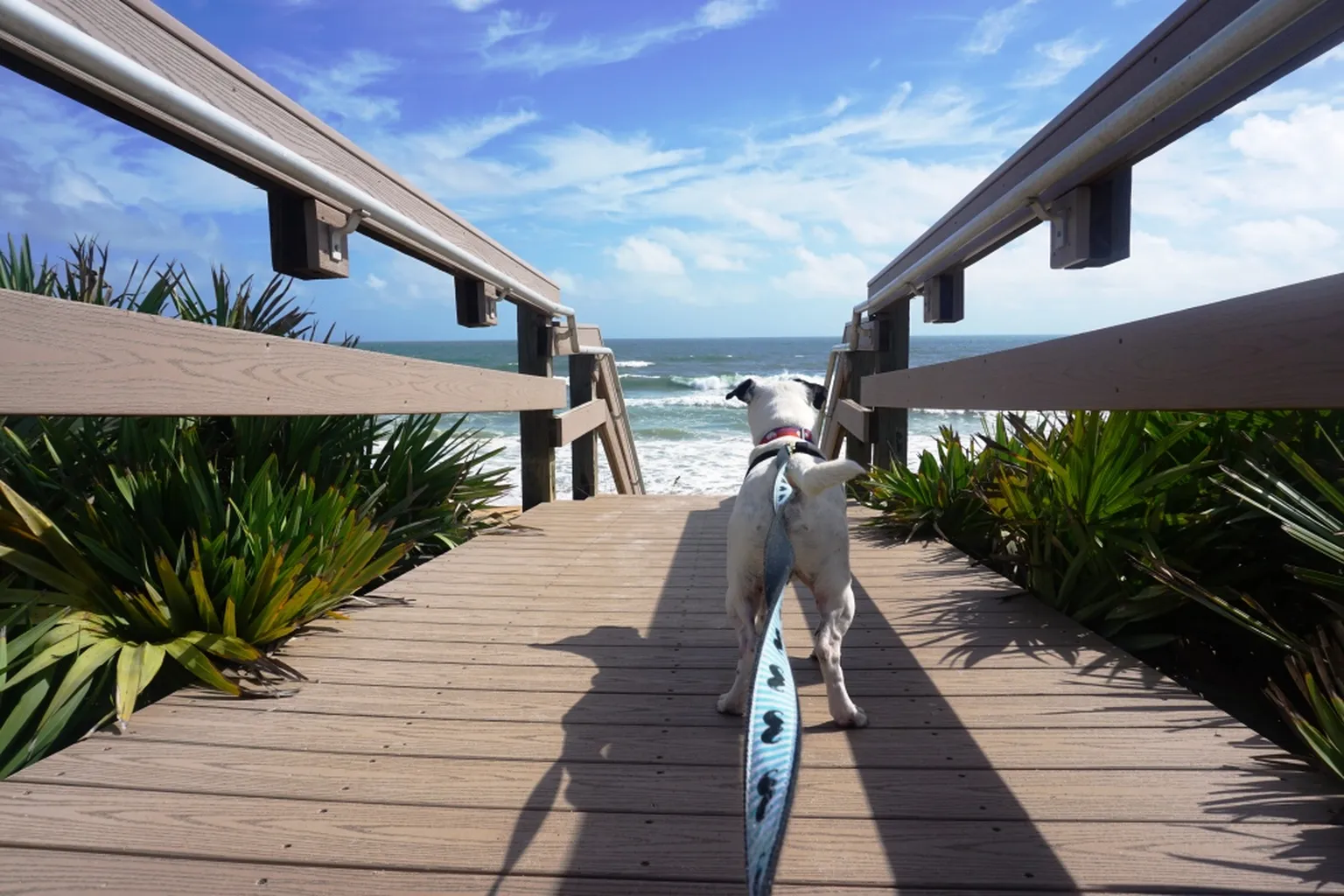 Flagler City Beach in Flagler Beach, Florida