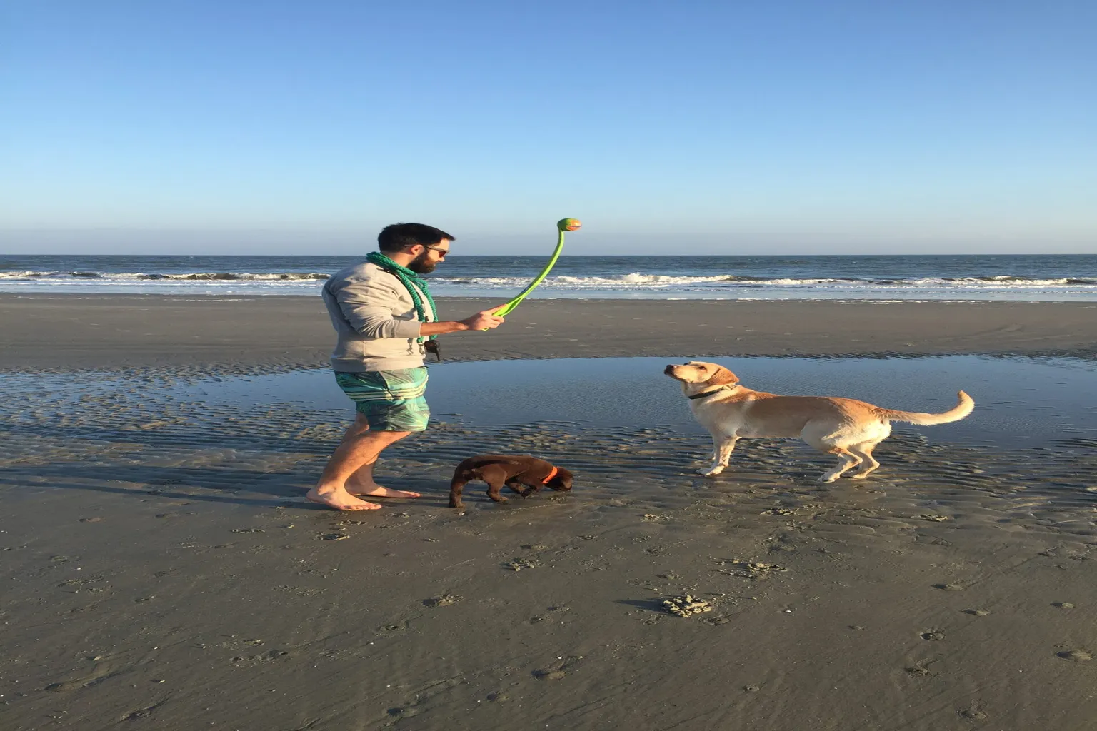 Kiawah Island's Beach Off Leash Area in Kiawah Island, South Carolina