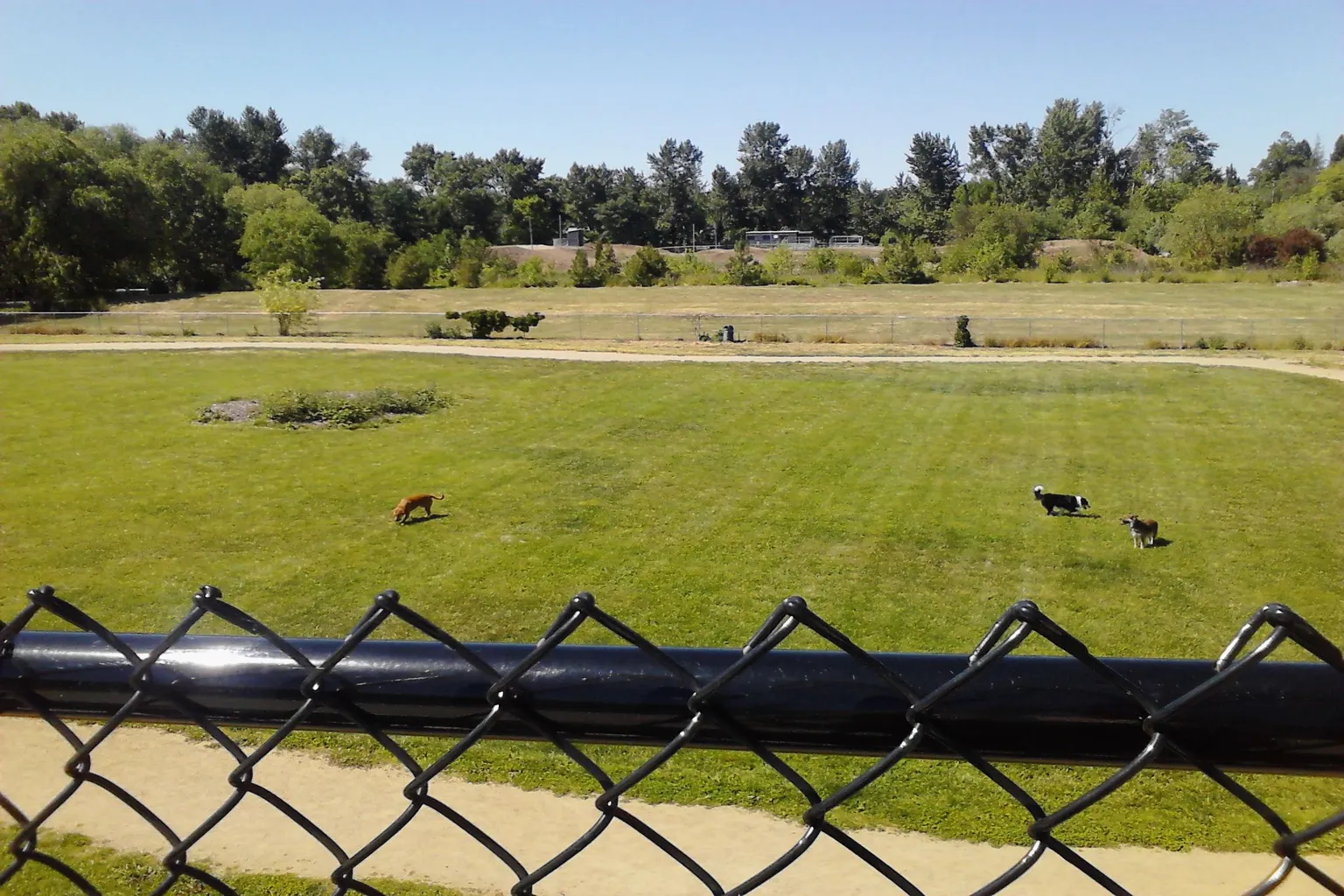 Medford Dog Park in Medford, Oregon