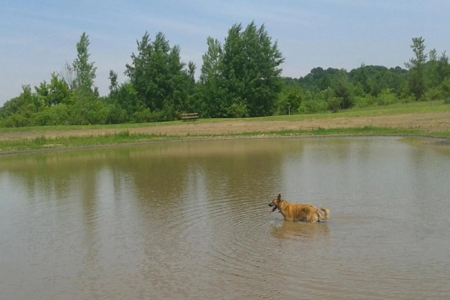 Cleary Lake Regional Dog Park in Prior Lake, Minnesota