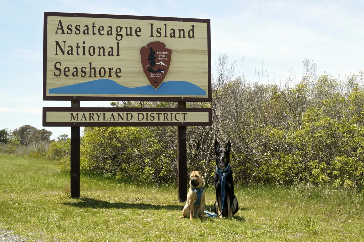 Assateague Island National Seashore in Berlin, Maryland