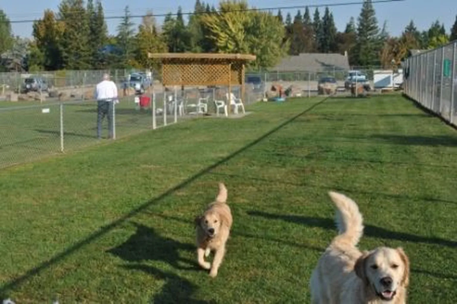 Phoenix Dog Park in Fair Oaks, California
