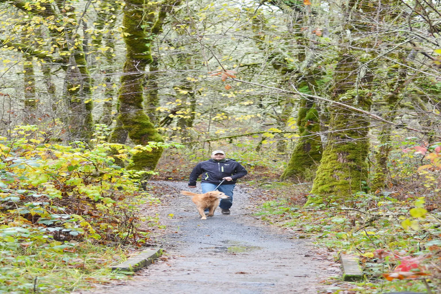 Bald Hill Park Off Leash Area in Corvallis, Oregon - Main Image
