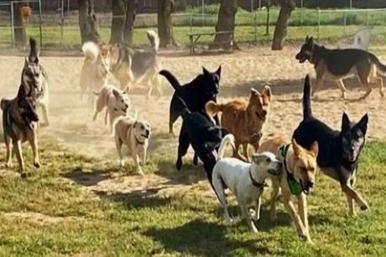 Off The Leash Dog Park - Yuba Sutter Dog Park in Yuba City, California