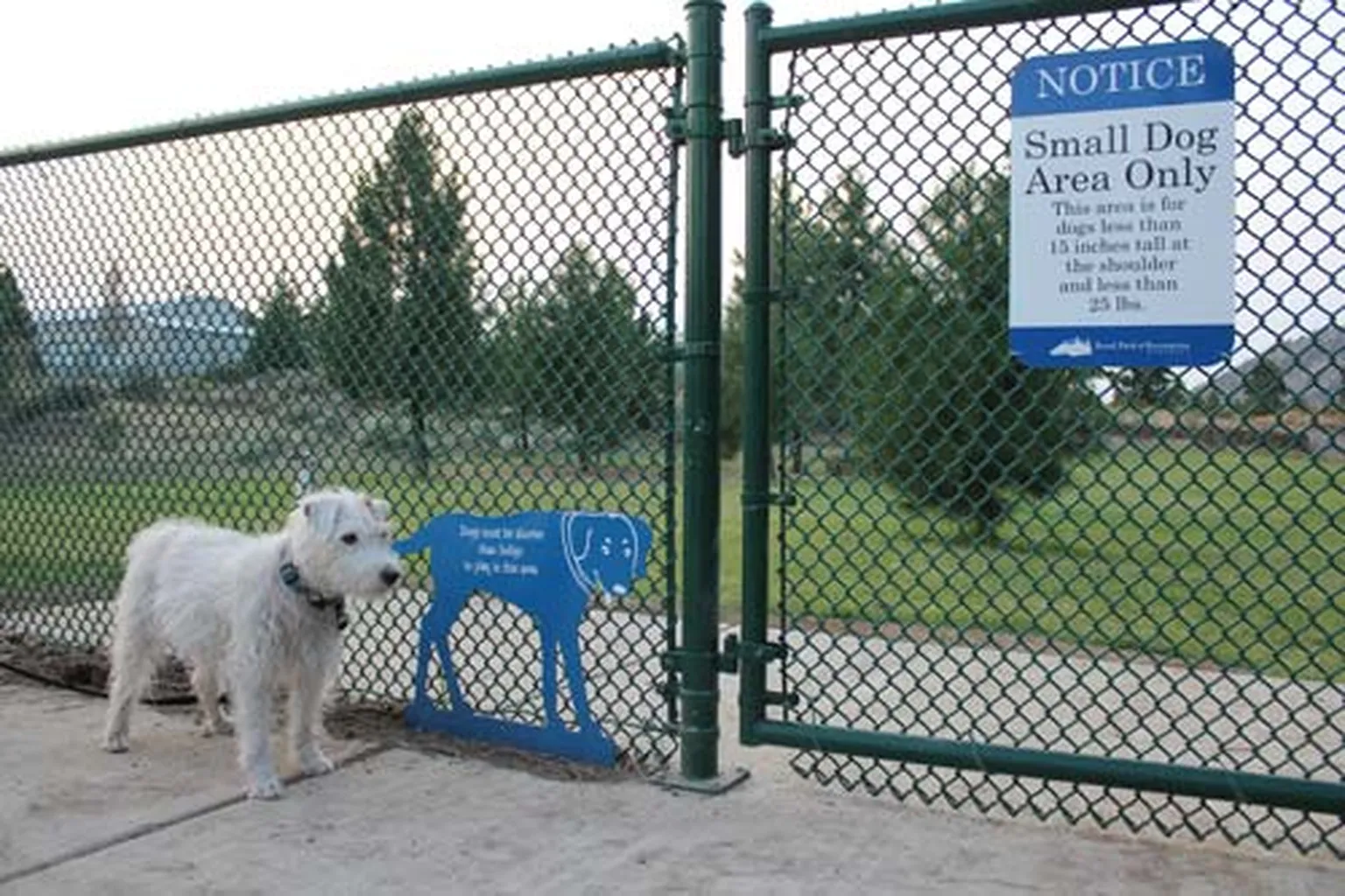 Ponderosa Community Dog Park in Bend, Oregon
