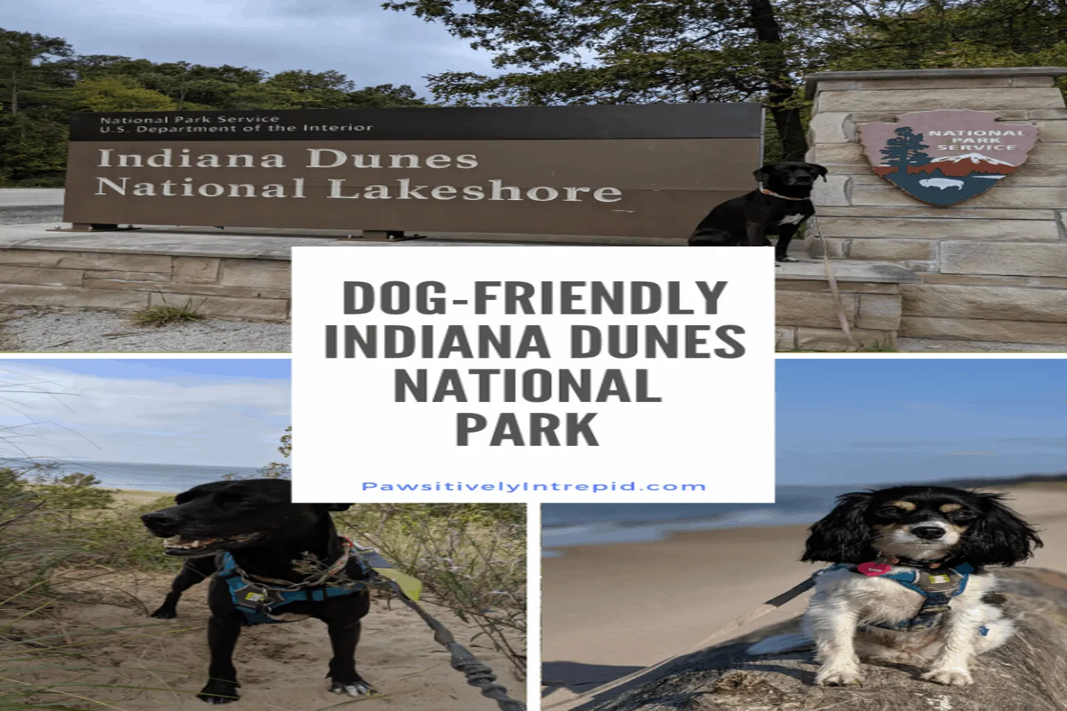 Indiana Dunes National Lakeshore in Porter, Indiana