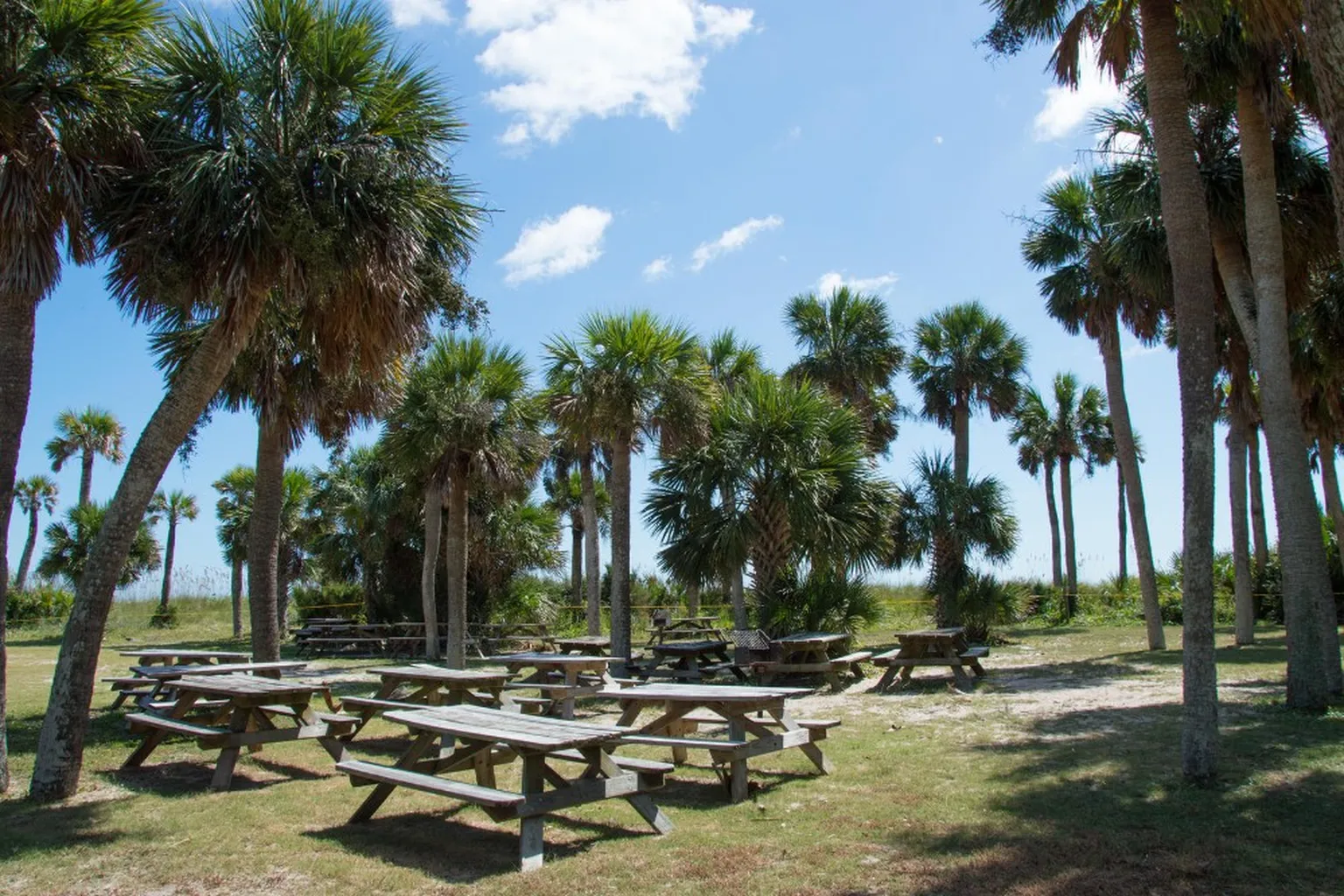 Edisto Beach State Park in Edisto Beach, South Carolina