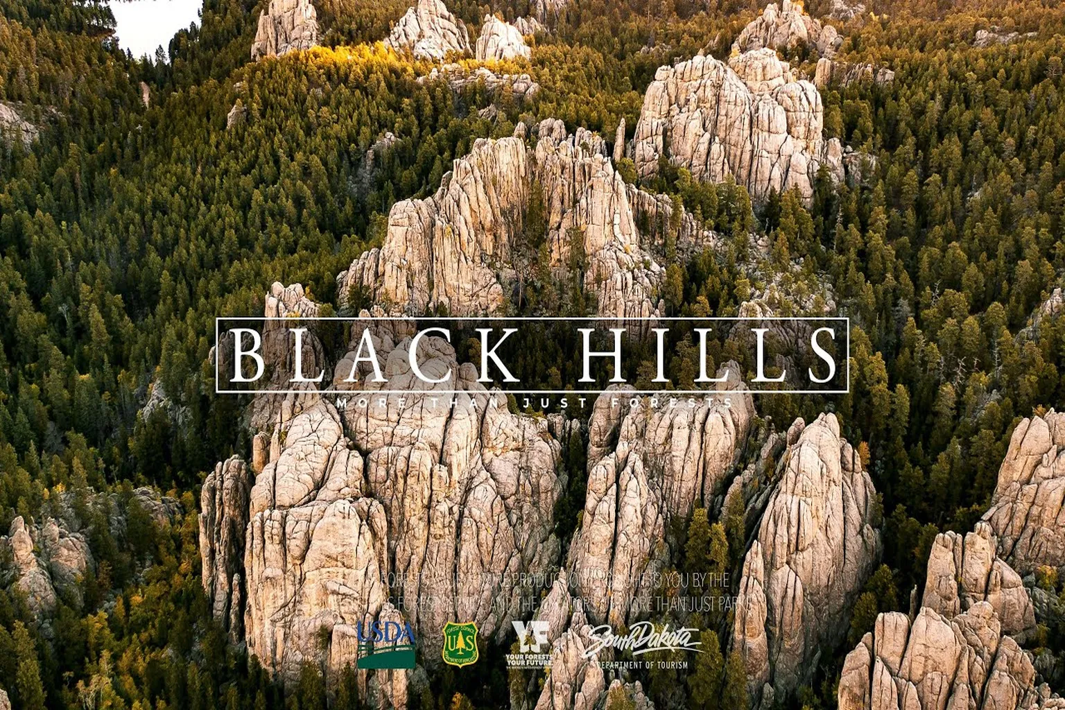 Black Hills National Forest in West Pennington, South Dakota