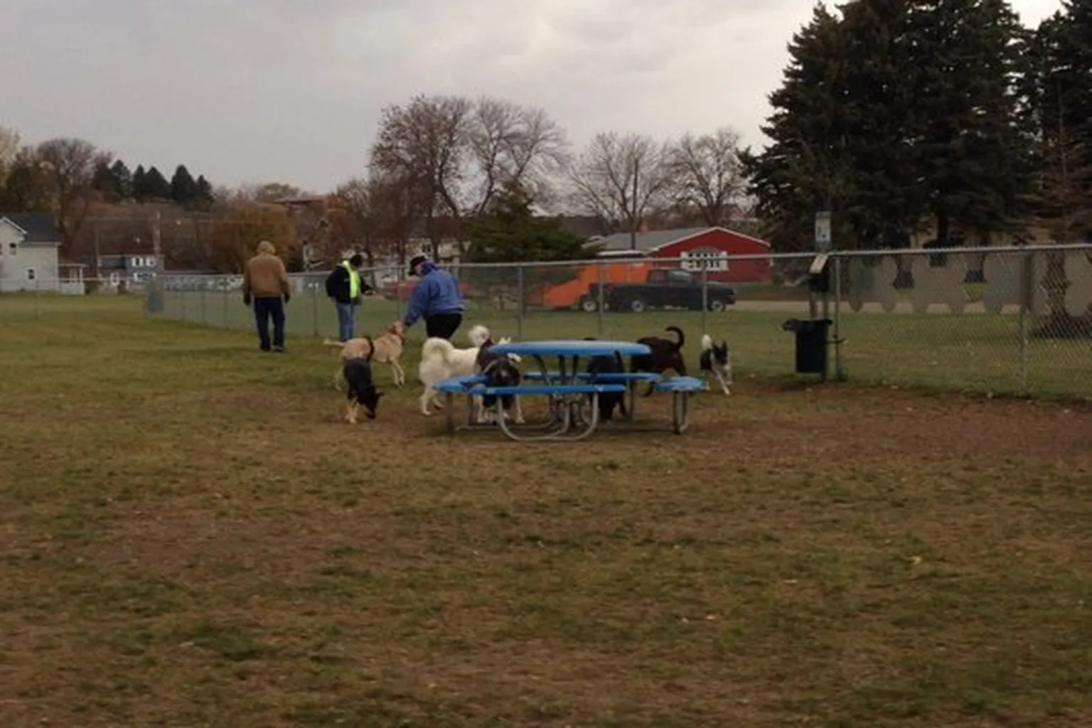 Pepper Dog Park (At Reuben And Clarice Liechty Park) - Coming Soon in Jamestown, North Dakota - Main Image