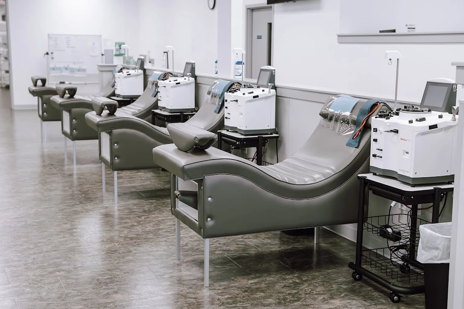 ImmunoTek Plasma Wilson in Wilson, North Carolina