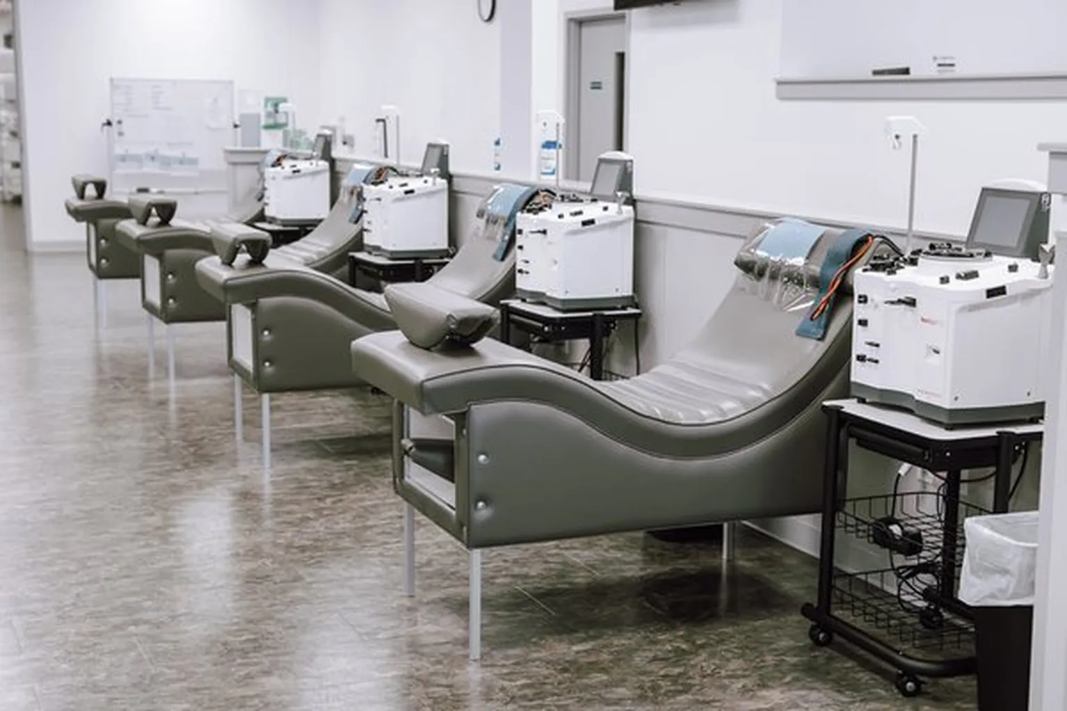 Freedom Plasma Roanoke in Roanoke, Virginia - Main Image