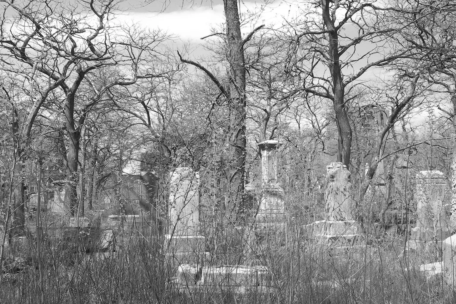Hebrew Benevolent Society Cemetery in Chicago, Illinois