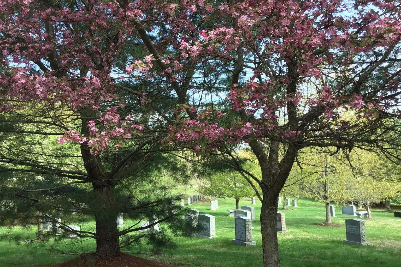 Garden of Remembrance Memorial Park in Clarksburg, Maryland