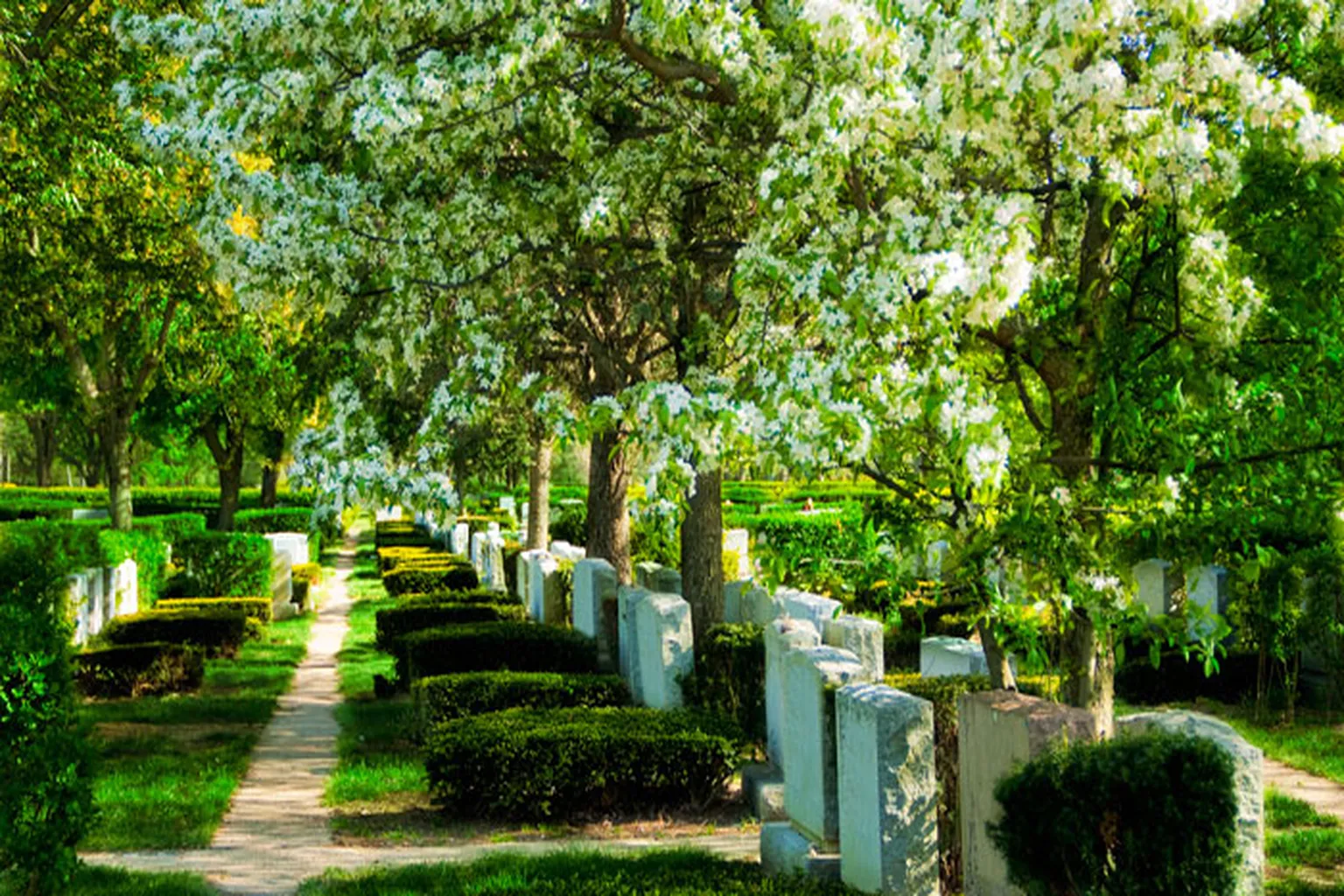 New Montefiore Jewish Cemetery in West Babylon, New York