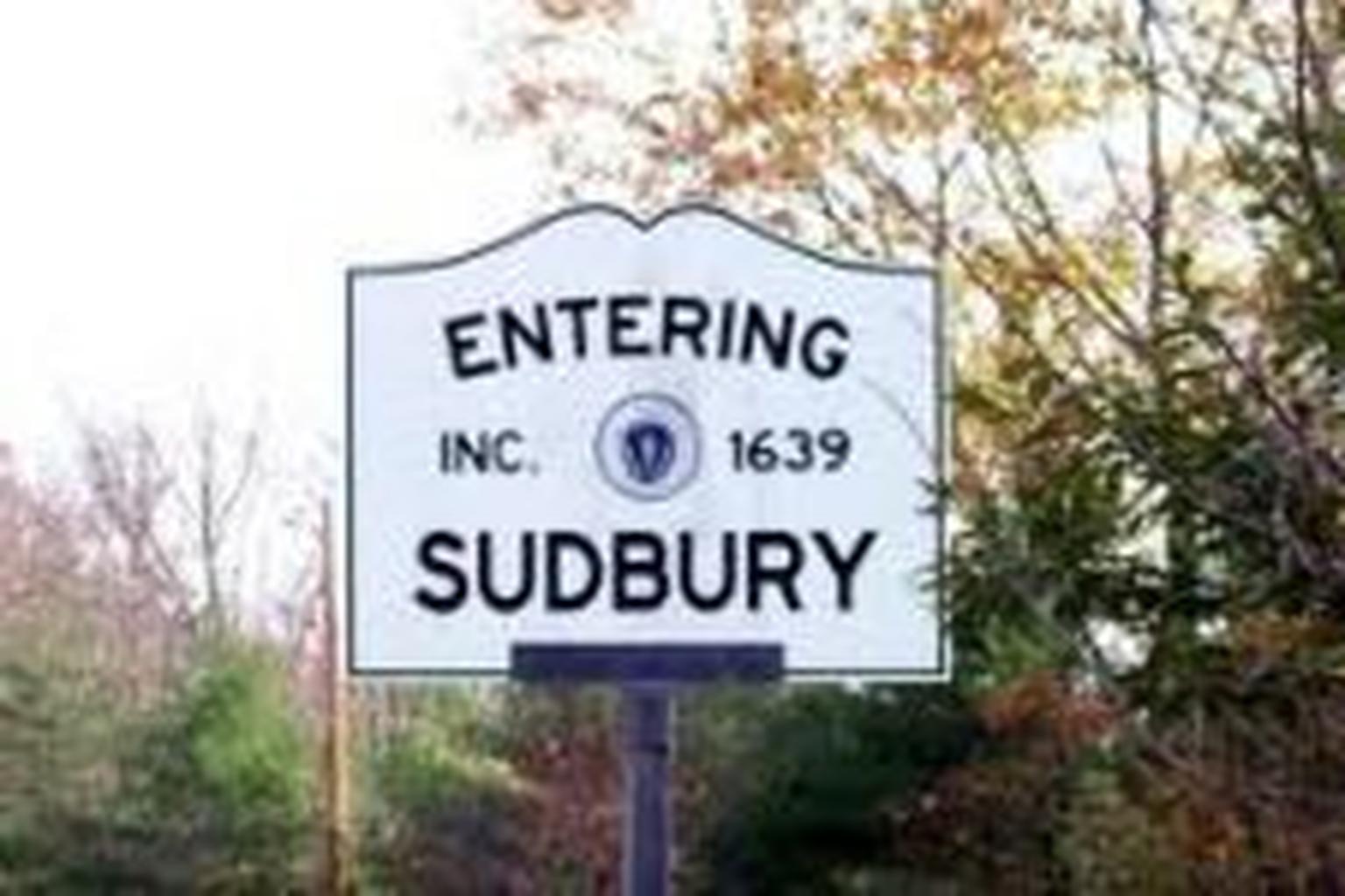 Bill Adelson Playground in Sudbury, Massachusetts - Image 2