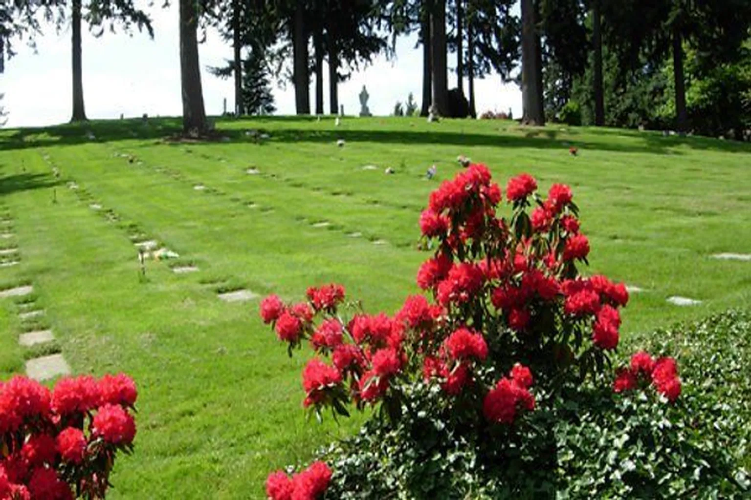 Mt. Calvary Cemetery in Eugene, Oregon - Main Image