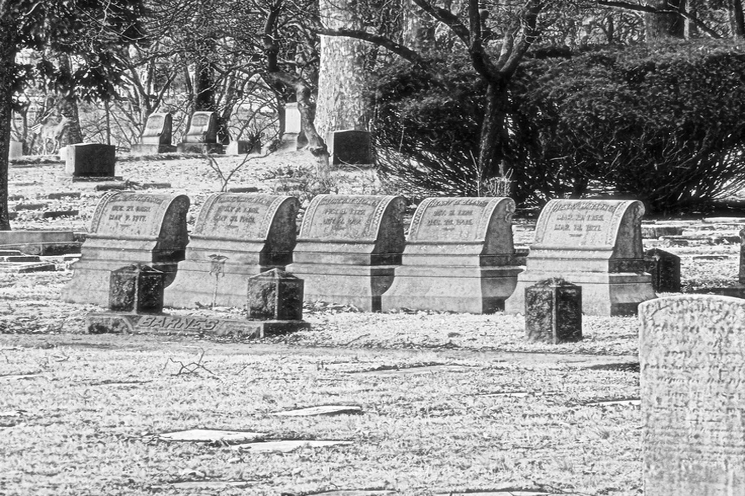 Laurel Cemetery in Allentown, Pennsylvania