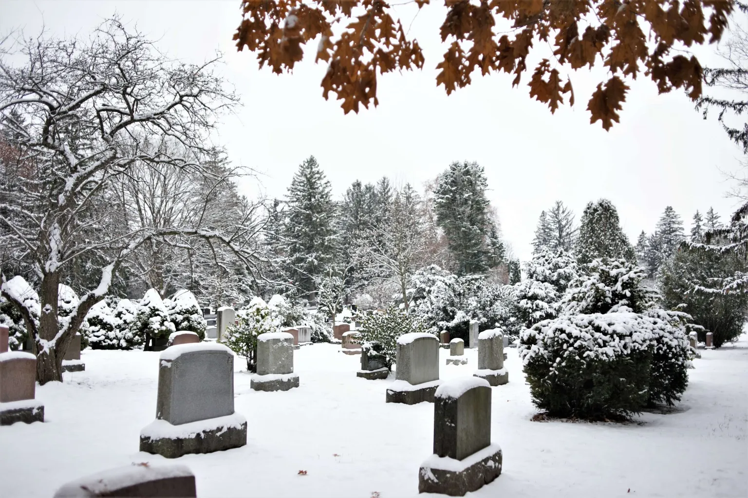 Woodlawn Memorial Park - WV in Bluefield, West Virginia