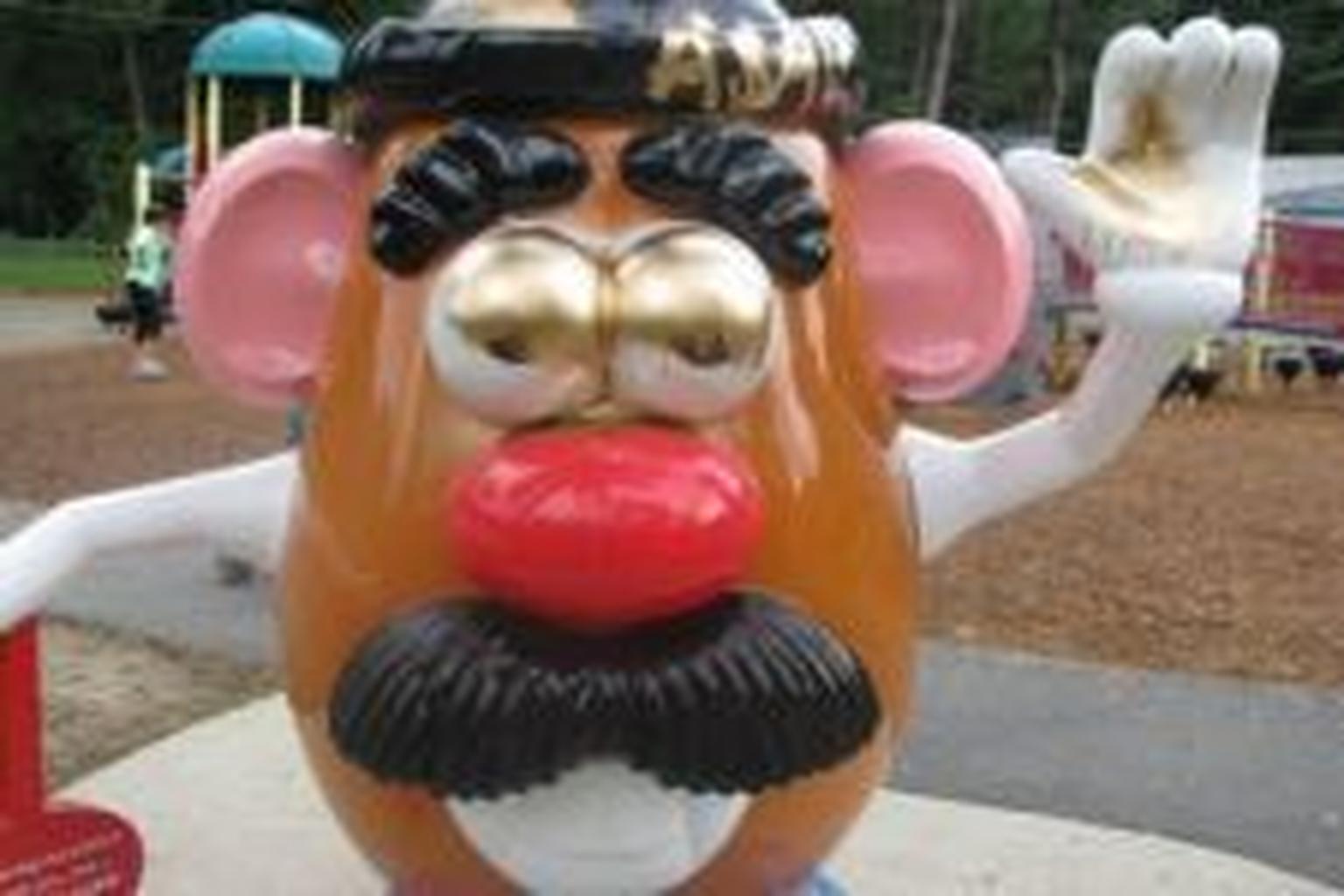 Wilson Boundless Playground in Longmeadow, Massachusetts - Image 2