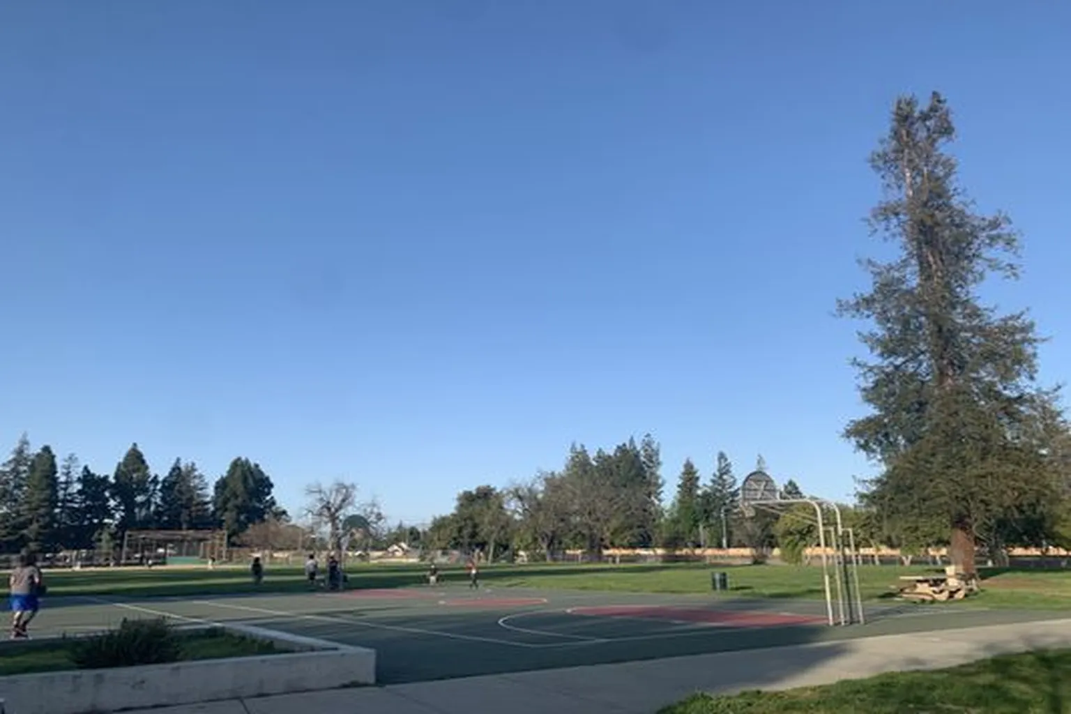 Starbird Spot in San North, California - Main Image