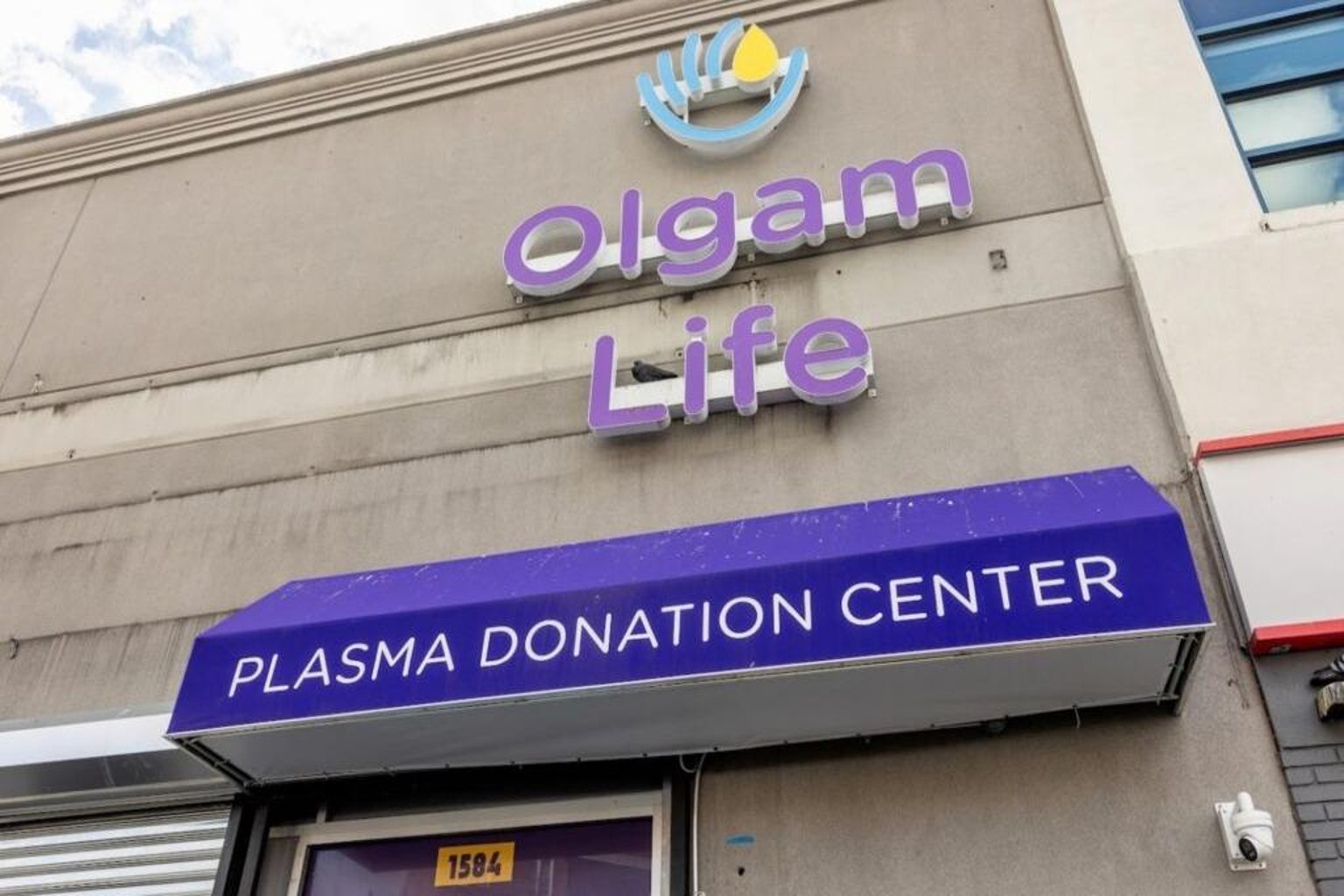 Olgam Life Plasma Donation Center Brooklyn in Brooklyn, New York - Image 1