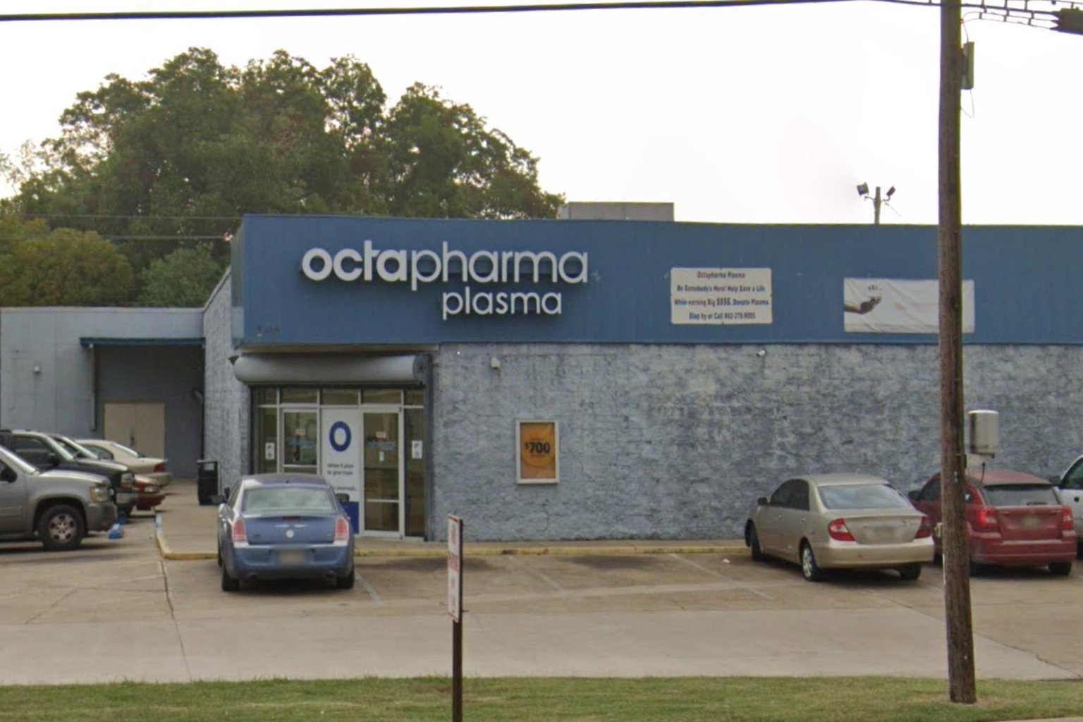 Octapharma Plasma Greenville in Greenville, Mississippi - Main Image