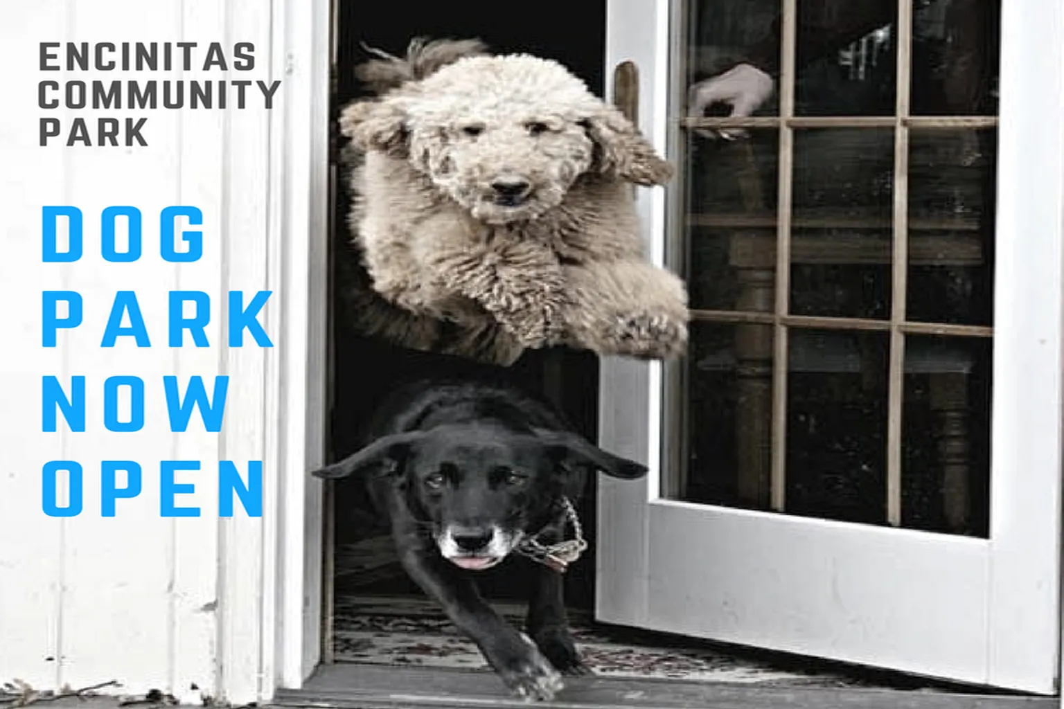 Encinitas Dog Run in Encinitas, California