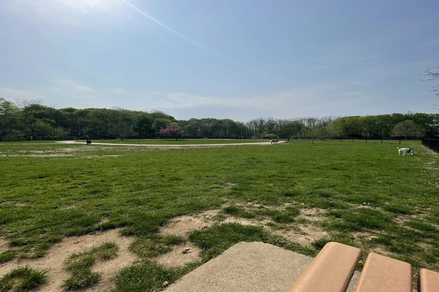 Fairmont Dog Park in Kalamazoo, Michigan