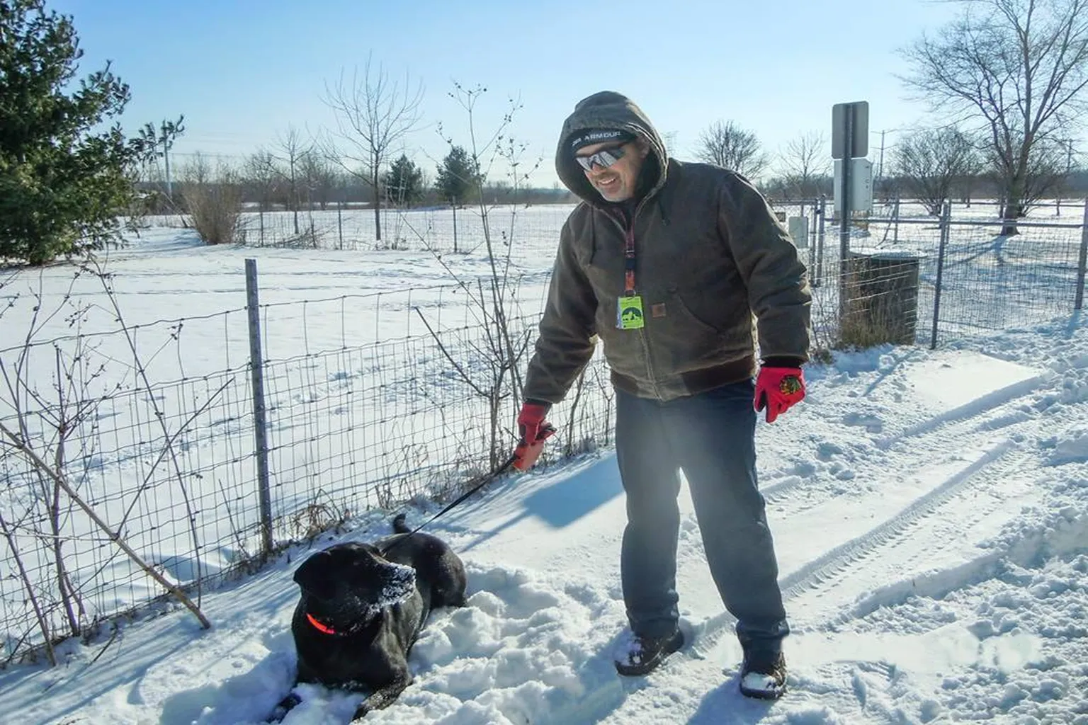 Pratt Wayne Woods Forest Preserve Off Leash Dog Area in Wayne, Illinois - Main Image
