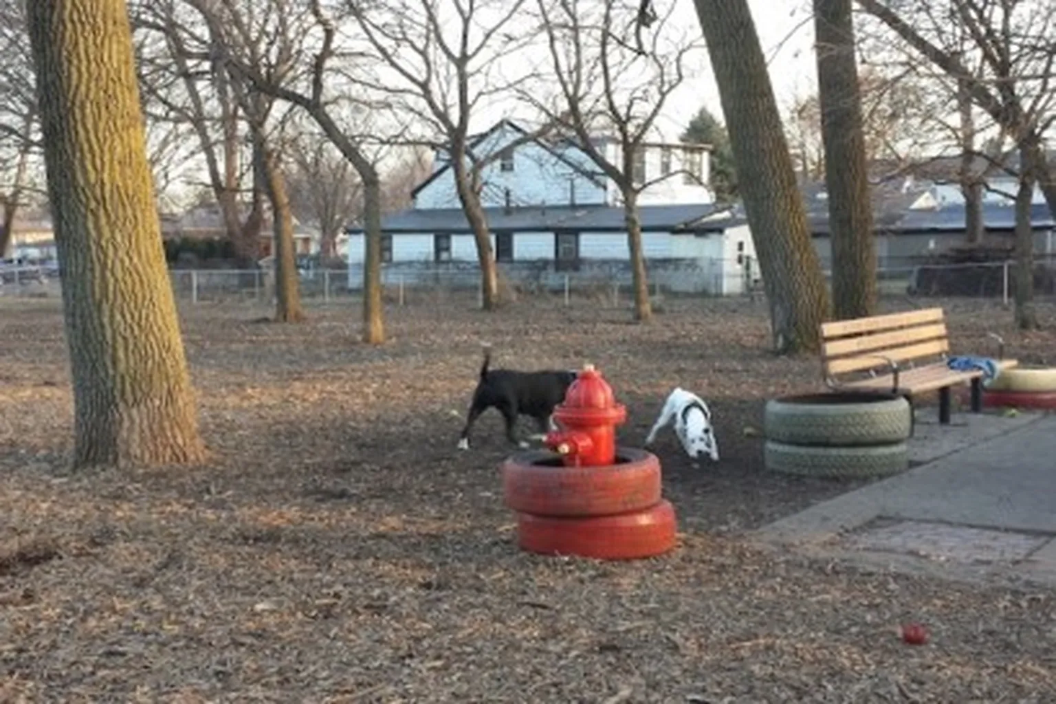 Bailey's Crossing Dog Park (At Columbus Manor Park) in Oak Lawn, Illinois