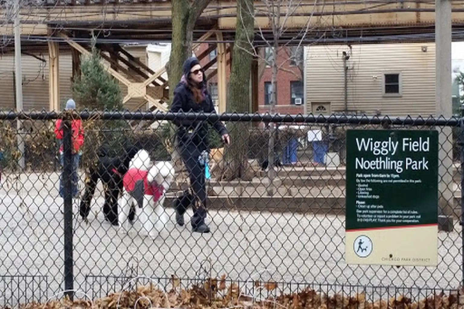 Wiggley Field in Chicago, Illinois