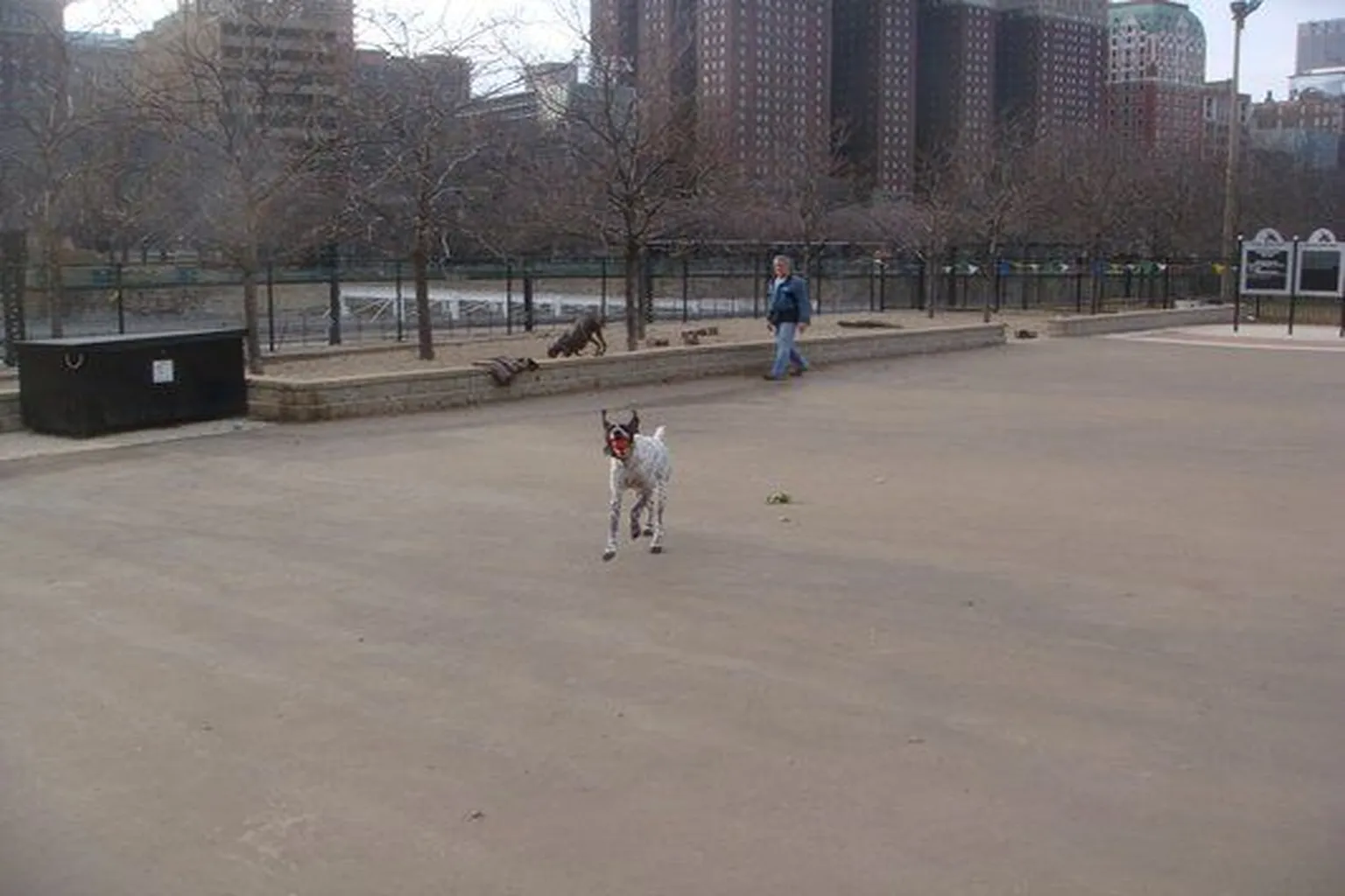 Grant Dog Park in Chicago, Illinois