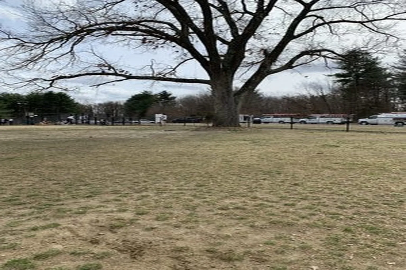 Washington Lake Dog Park in Sewell, New Jersey