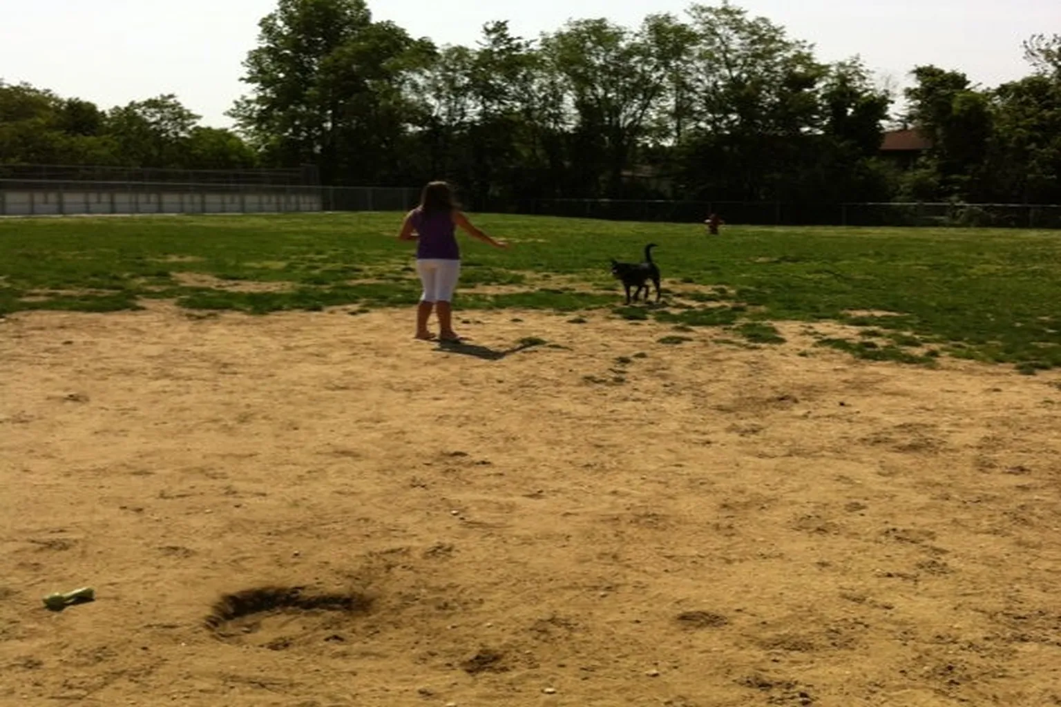 New Street Dog Park in Glassboro, New Jersey