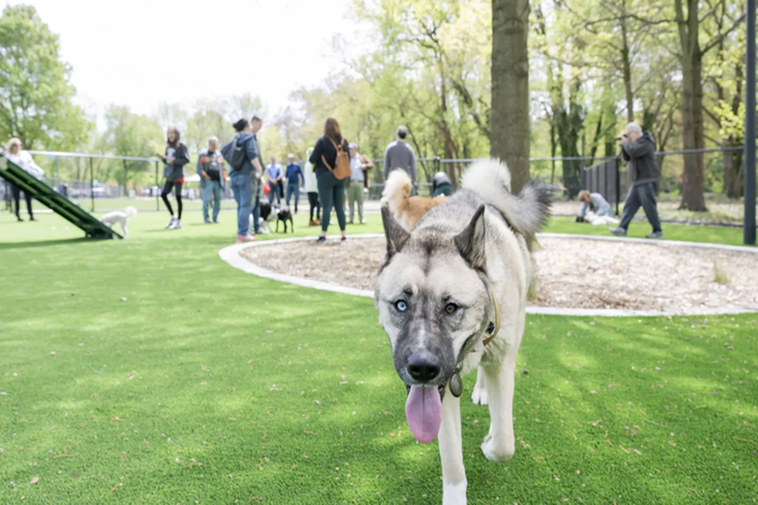 Cooper River Dogpark in Cherry Hill, New Jersey