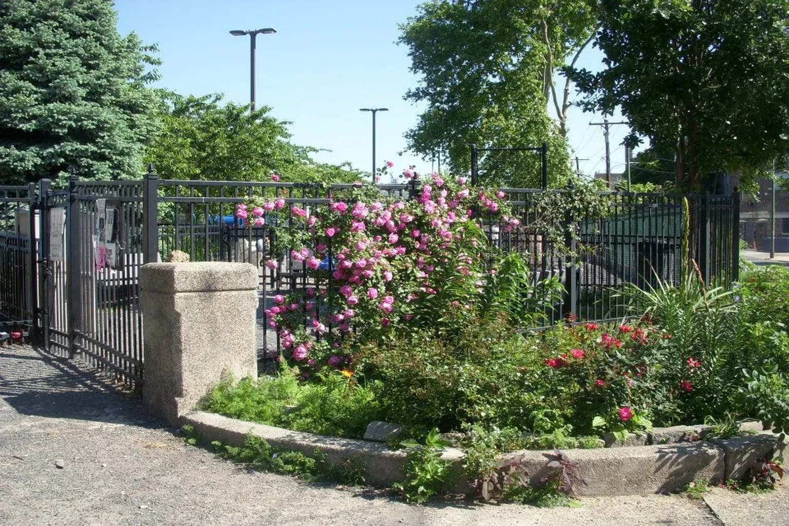 Passyunk Square Dog Park in Philadelphia, Pennsylvania