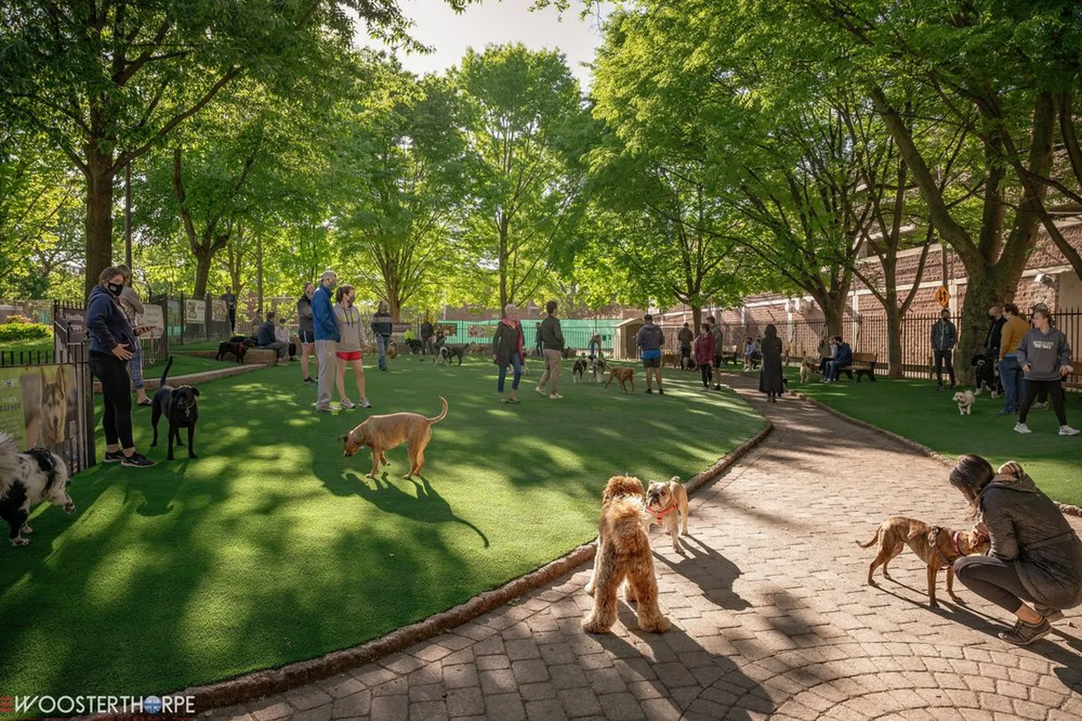 Segar Dog Park in Philadelphia, Pennsylvania