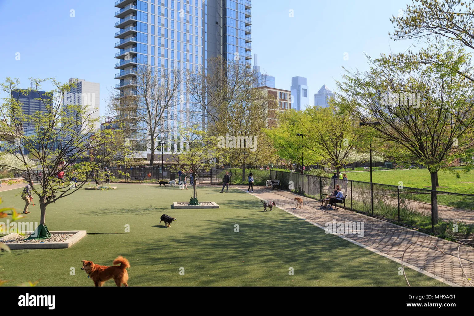 Schuylkill River Park Dog Run in Philadelphia, Pennsylvania