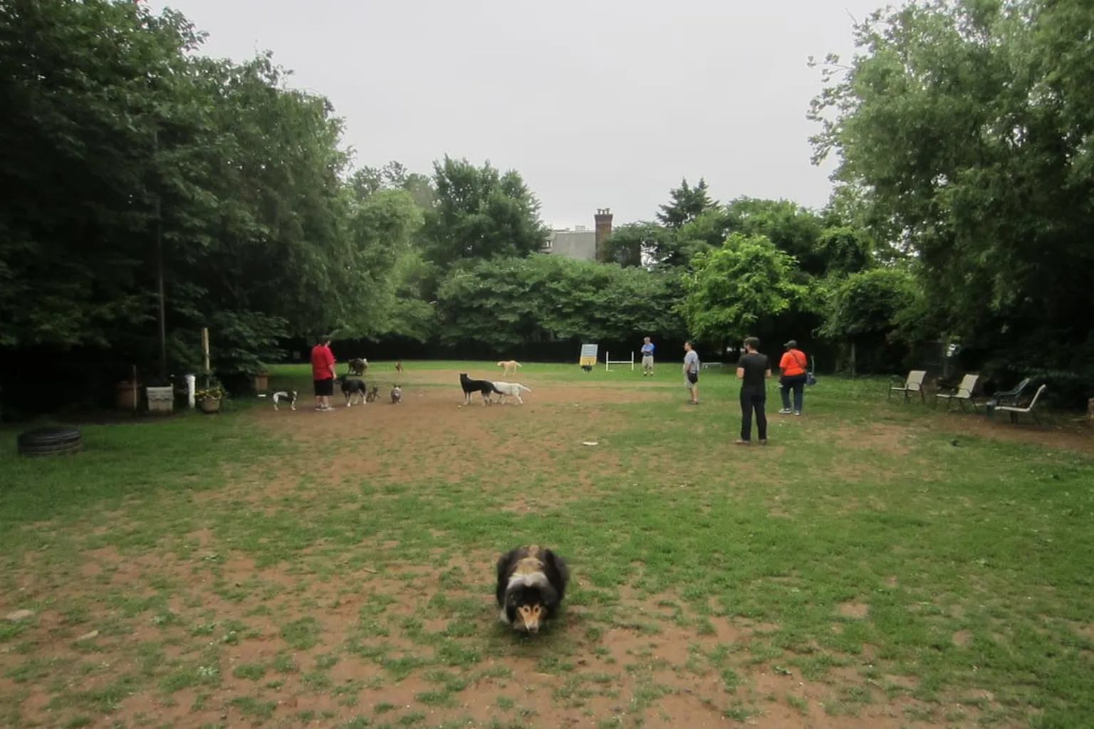 Chester Avenue Dog Park in Philadelphia, Pennsylvania