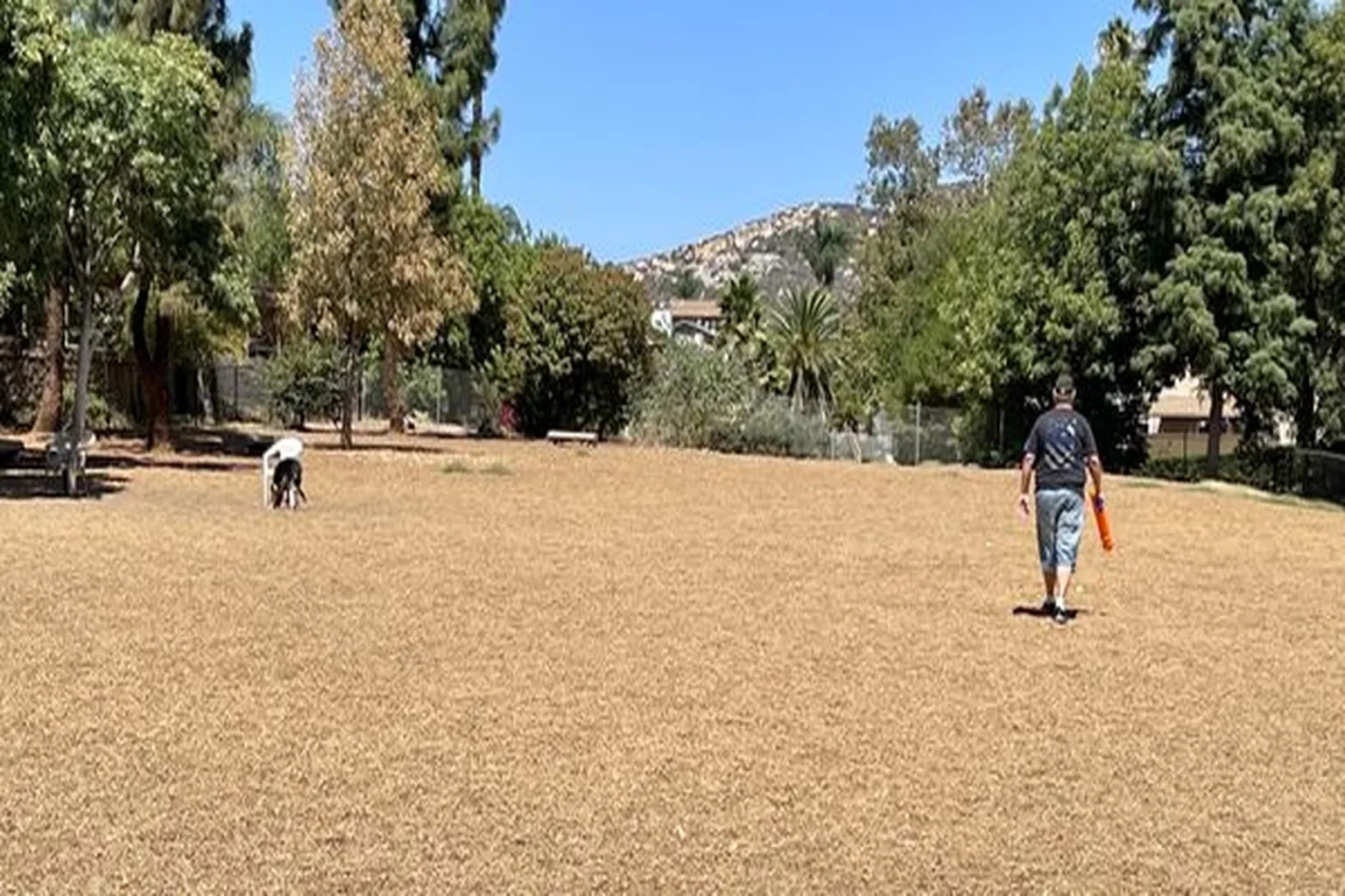 Woodglen Vista Dog Park in Santee, California