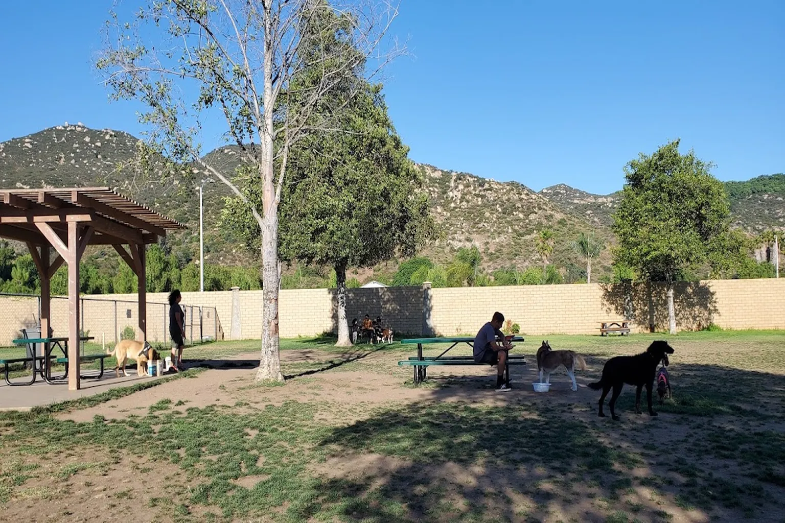 Mayflower Dog Park in Escondido, California - Main Image