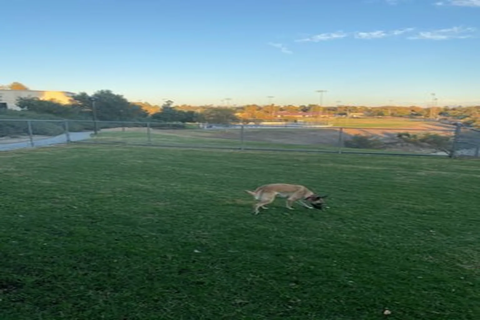 Margarita Community Dog Park in Temecula, California