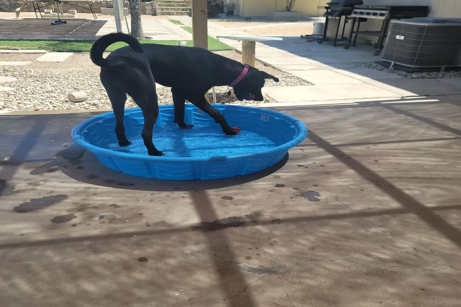 Hound Town Dog Park in Moreno Valley, California